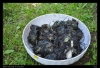 169-tabor_2011-07-12.jpg