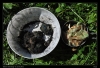175-tabor_2011-07-12.jpg