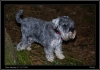270-tabor_2011-07-18.jpg