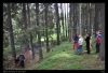 118-sky_tabor_2011-07-15.jpg