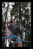 125-sky_tabor_2011-07-15.jpg
