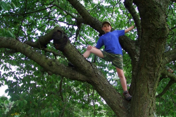 Klikněte pro zobrazení původního (velkého) obrázku