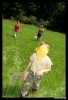 033-tabor_2011-07-09.jpg