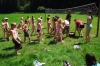120-tabor_2011-07-11.jpg