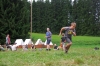 167-tabor_2011-07-14.jpg