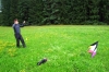 169-tabor_2011-07-14.jpg