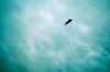 172-tabor_2011-07-14.jpg