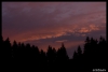 225-tabor_2011-07-18.jpg