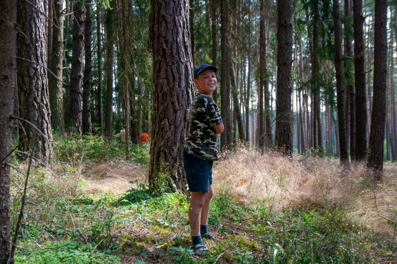 Klikněte pro zobrazení původního (velkého) obrázku