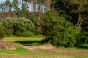 DSC_2298.jpg