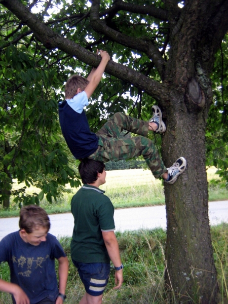 Klikněte pro zobrazení původního (velkého) obrázku