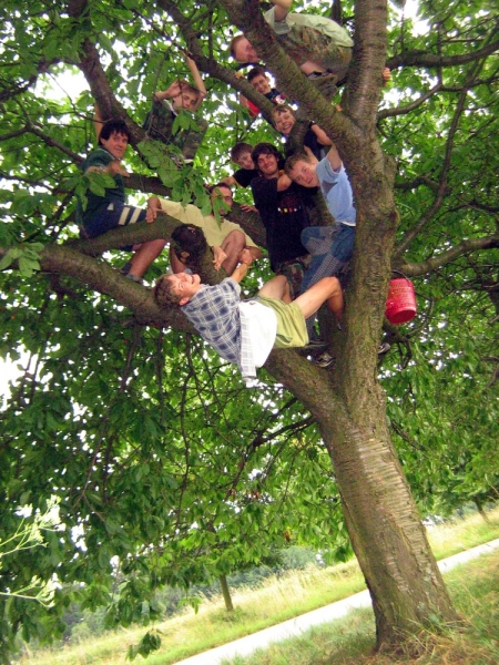 Klikněte pro zobrazení původního (velkého) obrázku