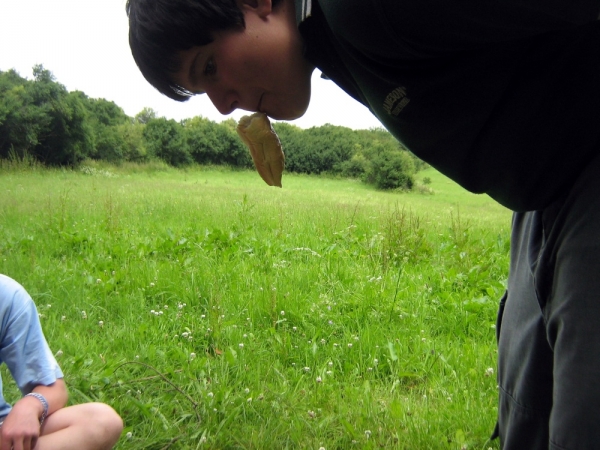 Klikněte pro zobrazení původního (velkého) obrázku
