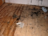 11-pozar_srubu-23-04-2011.jpg