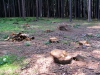16-roadtrip_tabor-22-05-2011.jpg