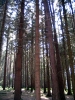 30-roadtrip_tabor-22-05-2011.jpg