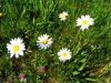 32-roadtrip_tabor-22-05-2011.jpg