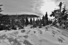 DSC_0597.JPG