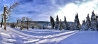 DSC_0706.jpg