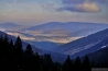 DSC_1541.JPG