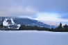 DSC_1700.JPG
