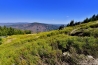 DSC_1783.JPG