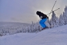 DSC_5743~0.JPG