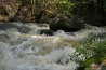 DSC_6128.JPG