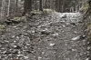 DSC_6733.JPG