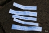 70DSC_2219.jpg