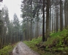 DSCF2801.JPG