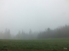 DSCF2804.JPG