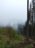 DSCF2811.JPG