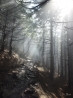 DSCF2888.JPG