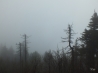DSCF2903.JPG