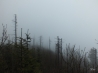 DSCF2904.JPG