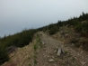 DSCF2907.JPG