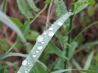 DSCF4495.JPG