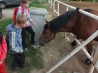 DSCF4588.JPG