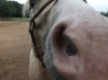 DSCF4590.JPG