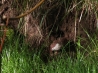 DSCF5170.JPG