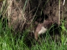 DSCF5172.JPG