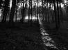 DSCF5187.JPG