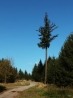 DSCF5193.JPG
