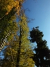 DSCF5197.JPG