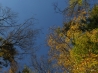 DSCF5199.JPG