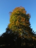 DSCF5202.JPG