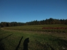 DSCF5213.JPG
