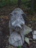 DSCF5217.JPG