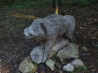 DSCF5218.JPG